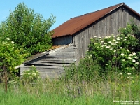 10978CrLeSh - Old barn at Taunton and Rosedale roads   Each New Day A Miracle  [  Understanding the Bible   |   Poetry   |   Story  ]- by Pete Rhebergen